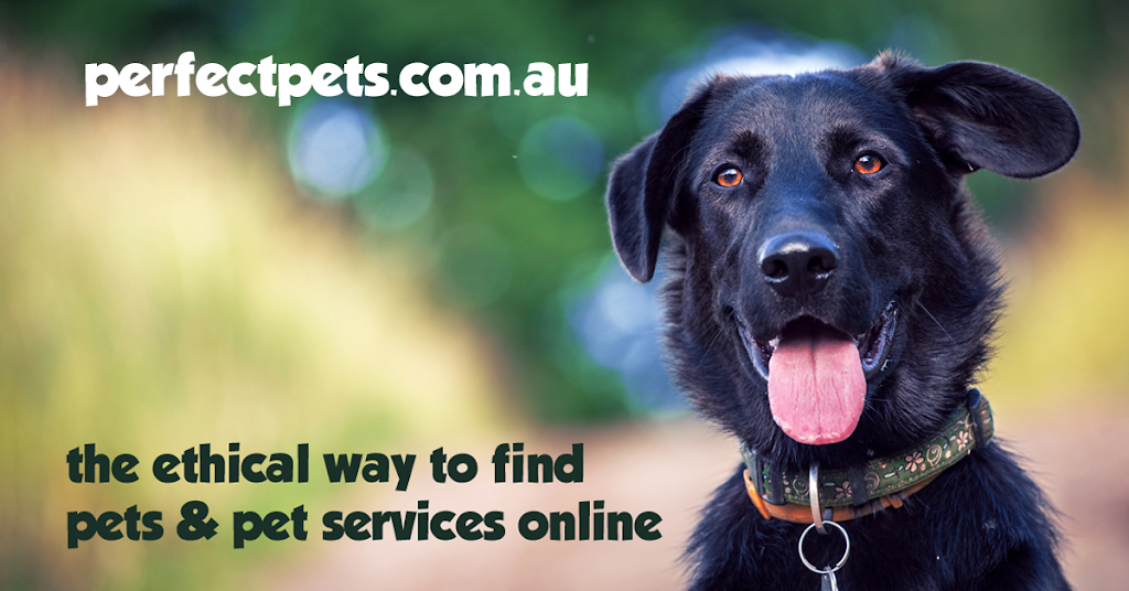 Perfect Pets | veterinary care | Chifley, Canberra ACT 2606, Australia