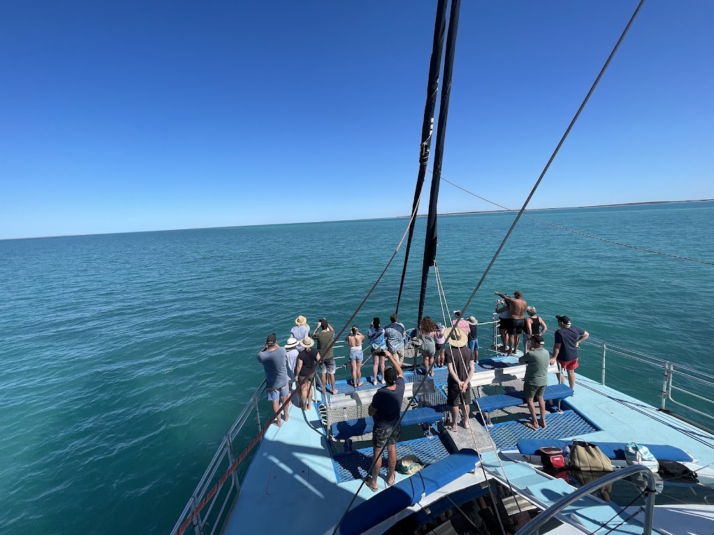Aristocat2 Perfect Nature Cruises | 1 Monkey Mia Rd, Monkey Mia WA 6537, Australia | Phone: 1800 030 427