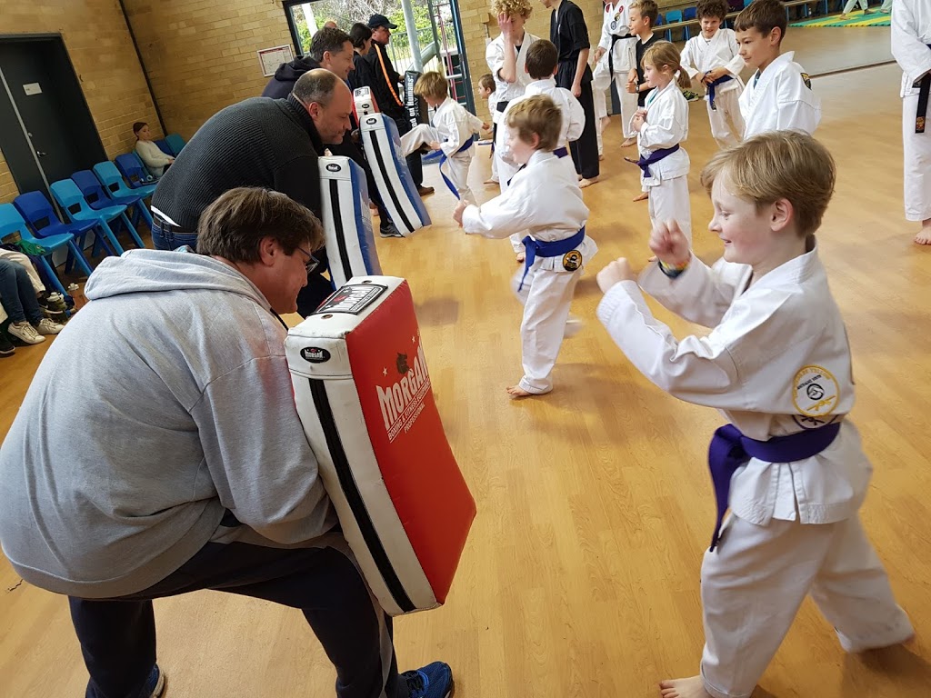 Australias Youth Self Defence Karate | 28 Melwood Ave, Forestville NSW 2087, Australia | Phone: (02) 9904 5667