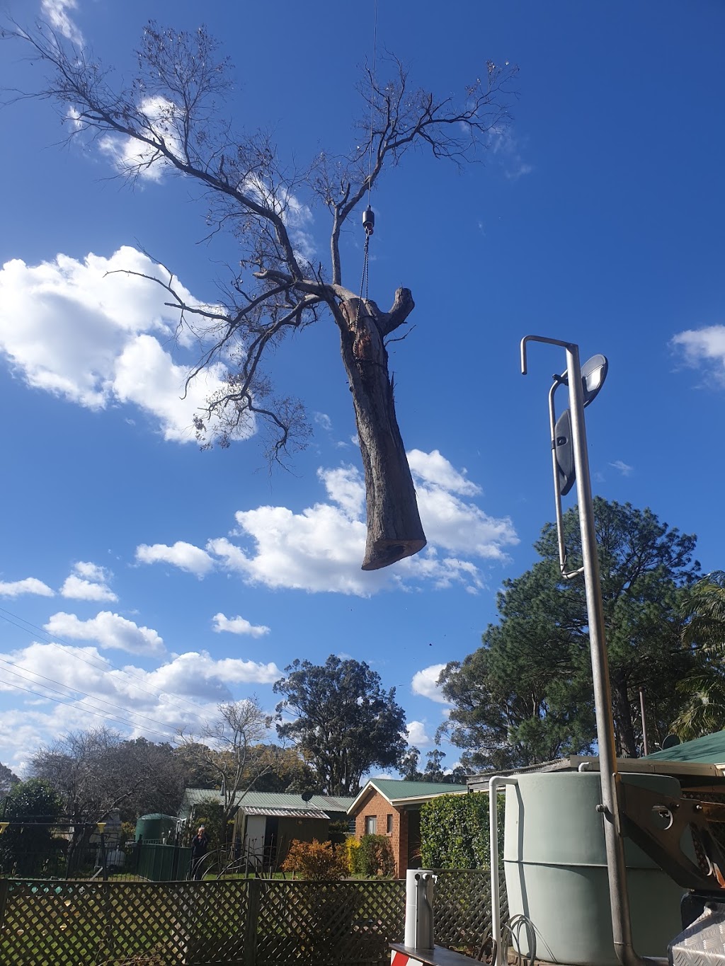 EnviroPro Tree Solutions | 19 Nerissa Rd, Erina NSW 2250, Australia | Phone: 0432 013 320