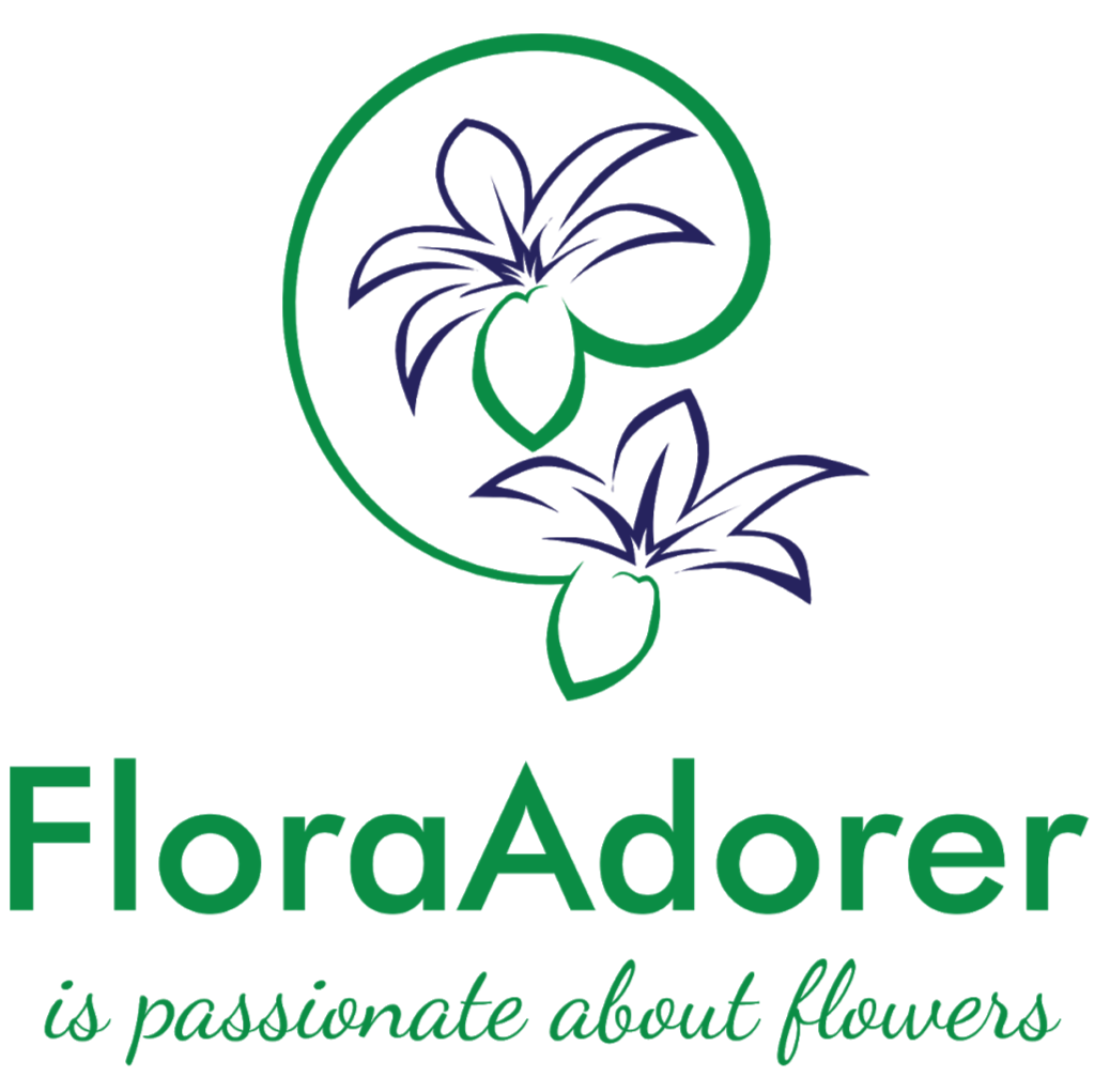 Flora Adorer | 255 Lawrence Hargrave Dr, Thirroul NSW 2515, Australia | Phone: 0425 212 835