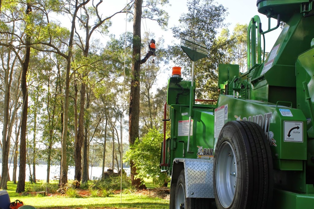 Cutting Edge Tree Maintenance | 42 Wakal St, Charlestown NSW 2290, Australia | Phone: (02) 4003 4400