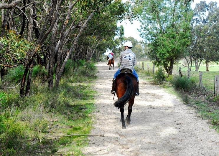 Grampians Horse Riding Centre | 430 Schmidt Road, Brimpaen VIC 3401, Australia | Phone: (03) 5383 9255