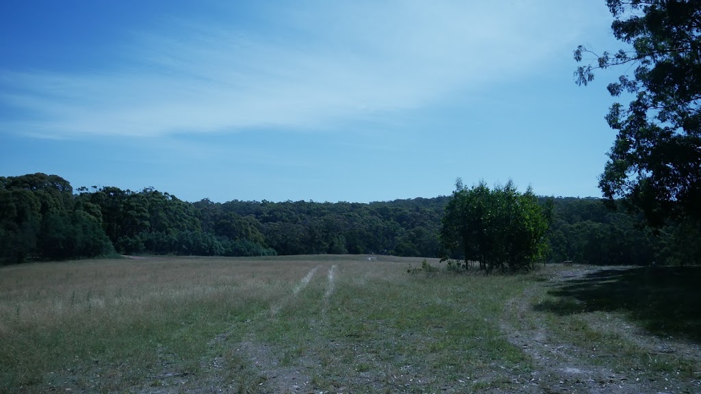 Werribee River Camping Ground | campground | Carrolls Track, Spargo Creek VIC 3461, Australia