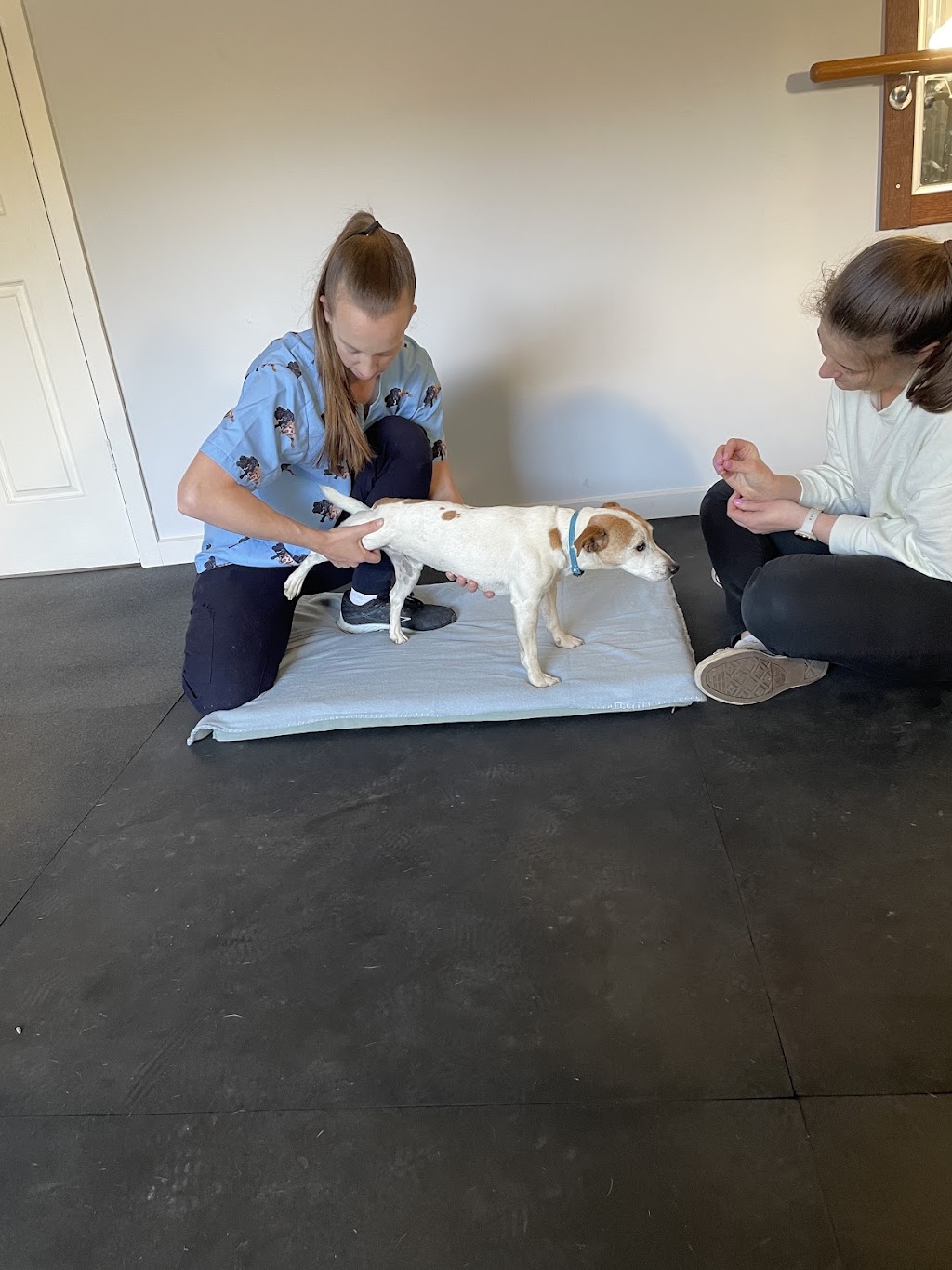 Ballarat Animal Rehabilitation Centre (BARC) | 102 Brumbys Ln, Snake Valley VIC 3351, Australia | Phone: 0422 124 814