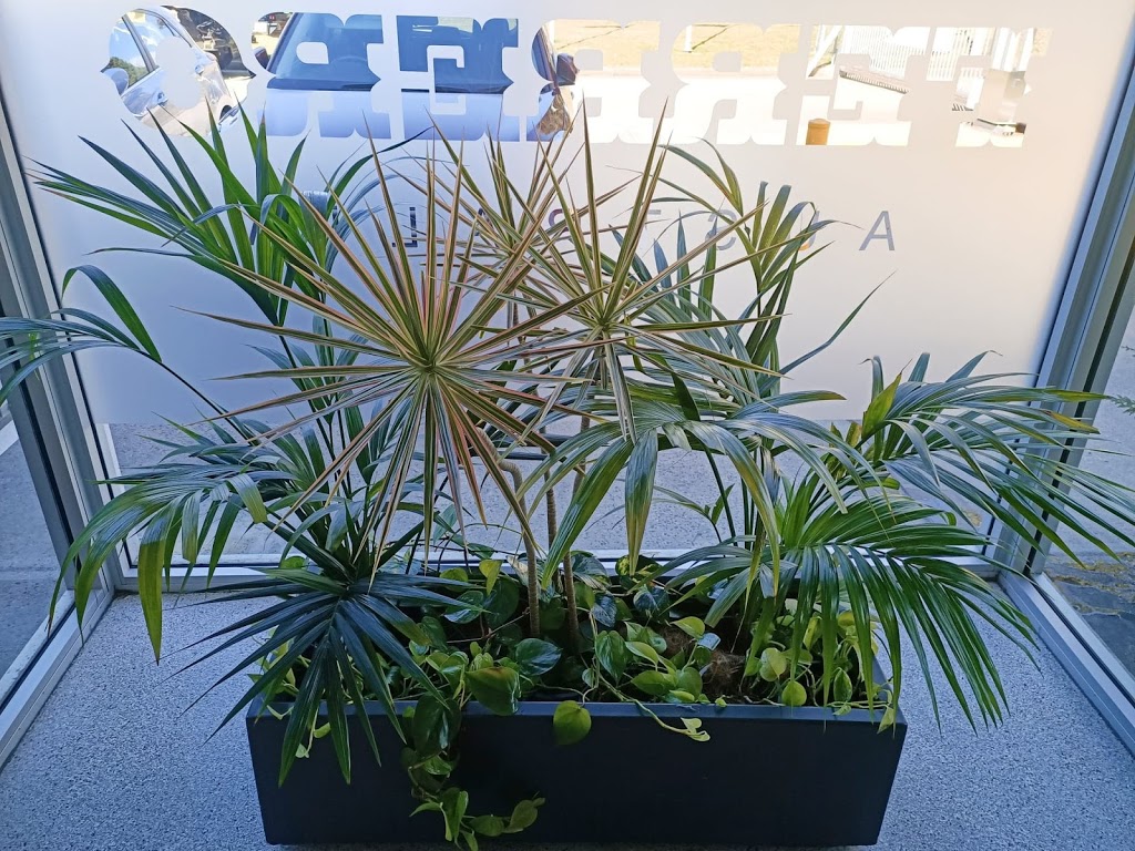 Greenstuff Indoor Plant Hire | 83 Bathampton Rd, Bathurst NSW 2795, Australia | Phone: 0408 635 207