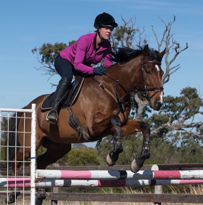 Lucy Williams Equestrian | travel agency | Equerry Lodge, 804 Wellington Road, Wistow SA 5251, Australia | 0410787196 OR +61 410 787 196