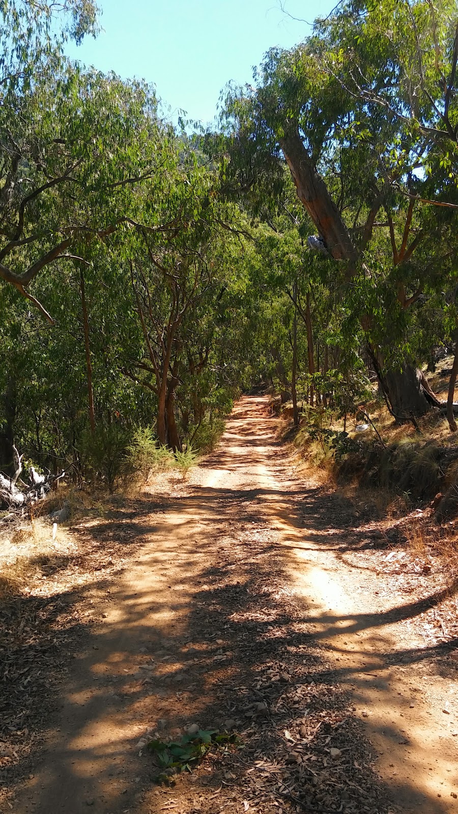 The Paps Natural Features and Scenic Reserve | park | Maindample VIC 3723, Australia