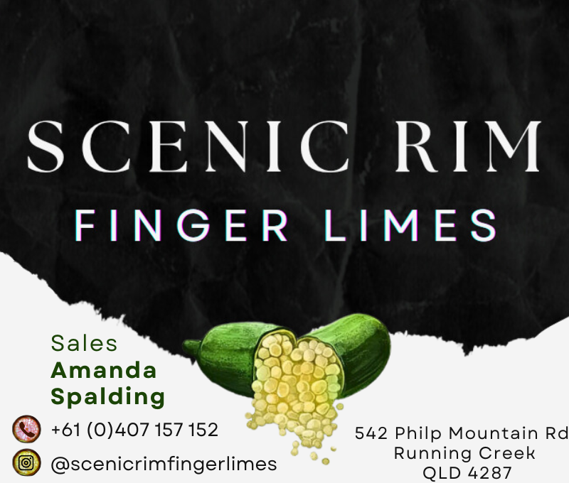 Scenic Rim Finger Limes | 542 Philp Mountain Rd, Running Creek QLD 4287, Australia | Phone: 0407 157 152