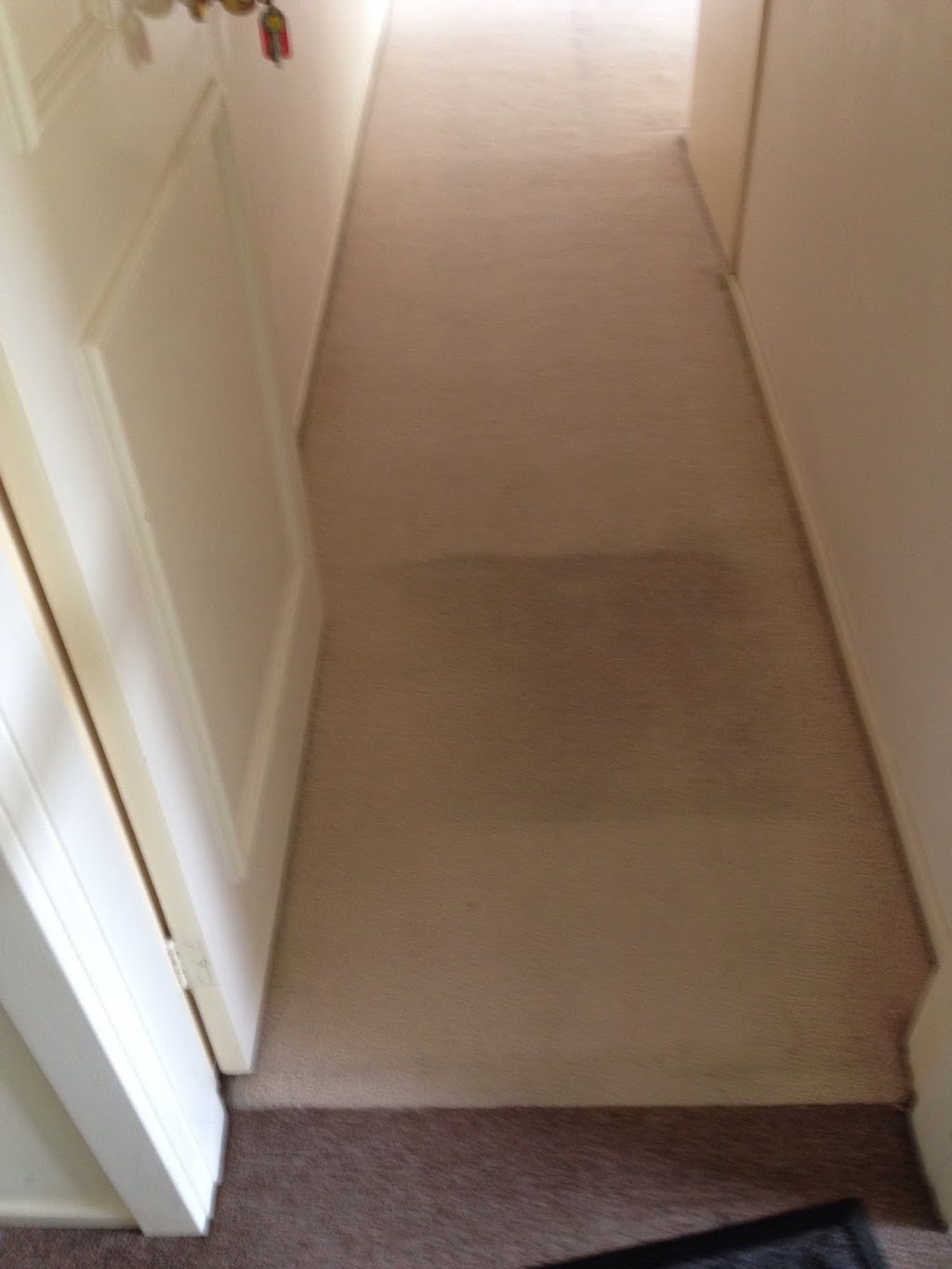 Hawkesbury Carpet Cleaning | 838 Bells Line of Rd, Kurrajong Hills NSW 2758, Australia | Phone: 0414 983 379