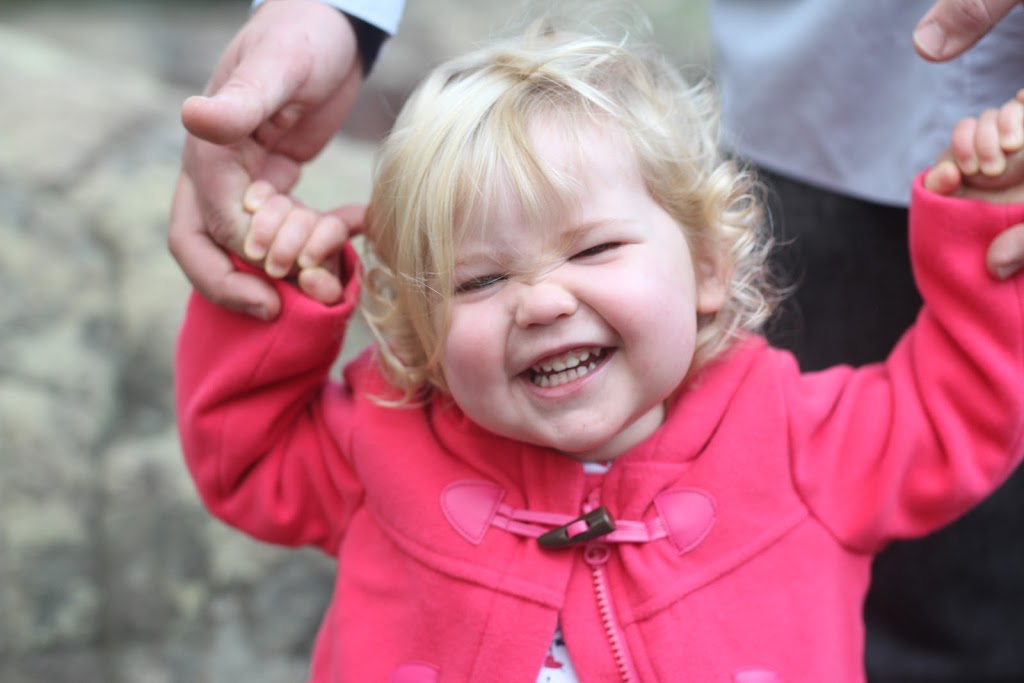 Mustard Seed Small Farm & Photography | 44 Hillside Dr, Glenning Valley NSW 2261, Australia | Phone: 0457 427 350