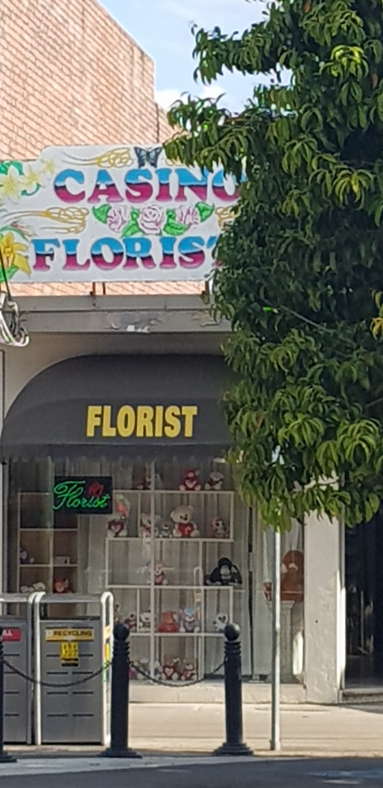 Casino Florists | florist | 117 Barker St, Casino NSW 2470, Australia | 0266621038 OR +61 2 6662 1038