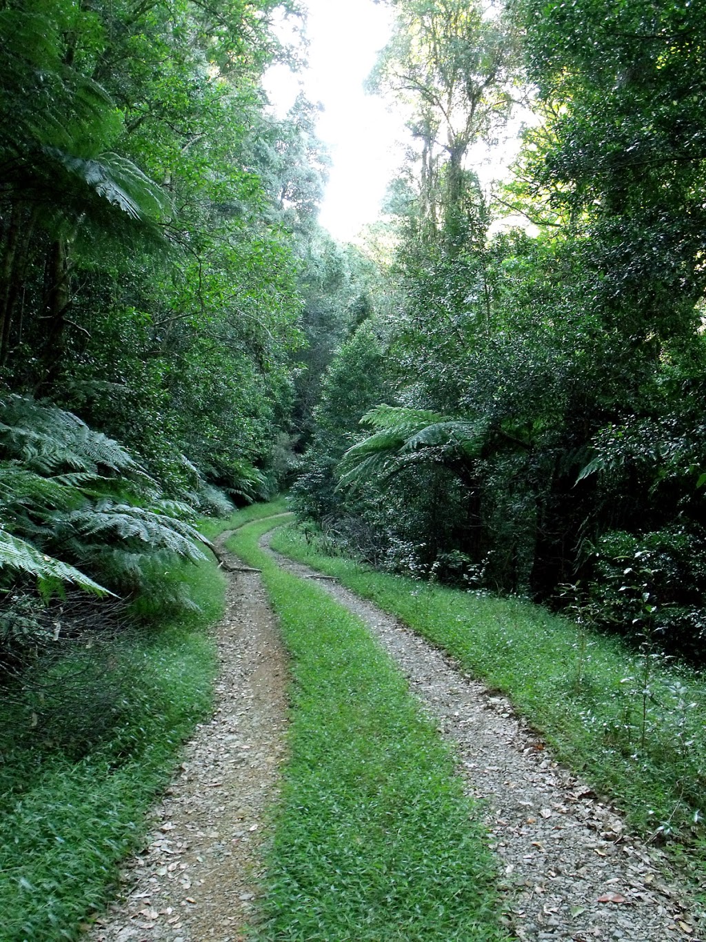 Mount Boss | New South Wales, Australia