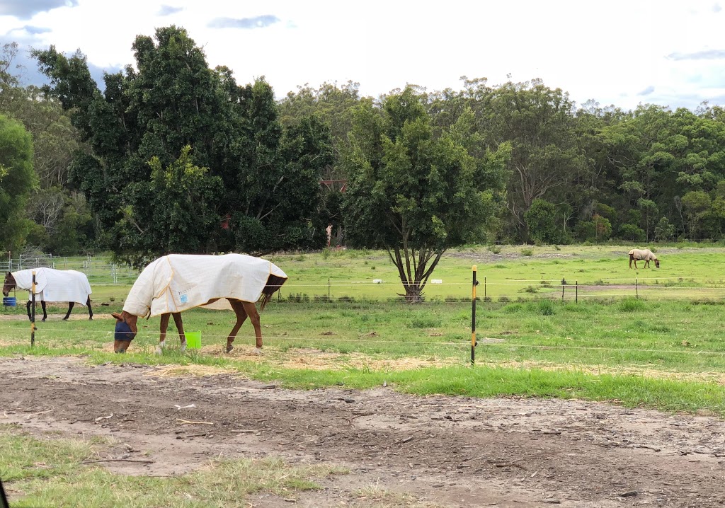 Port Macquarie Horse Riding Centre | 10 Winery Dr, Port Macquarie NSW 2444, Australia | Phone: 0487 004 483