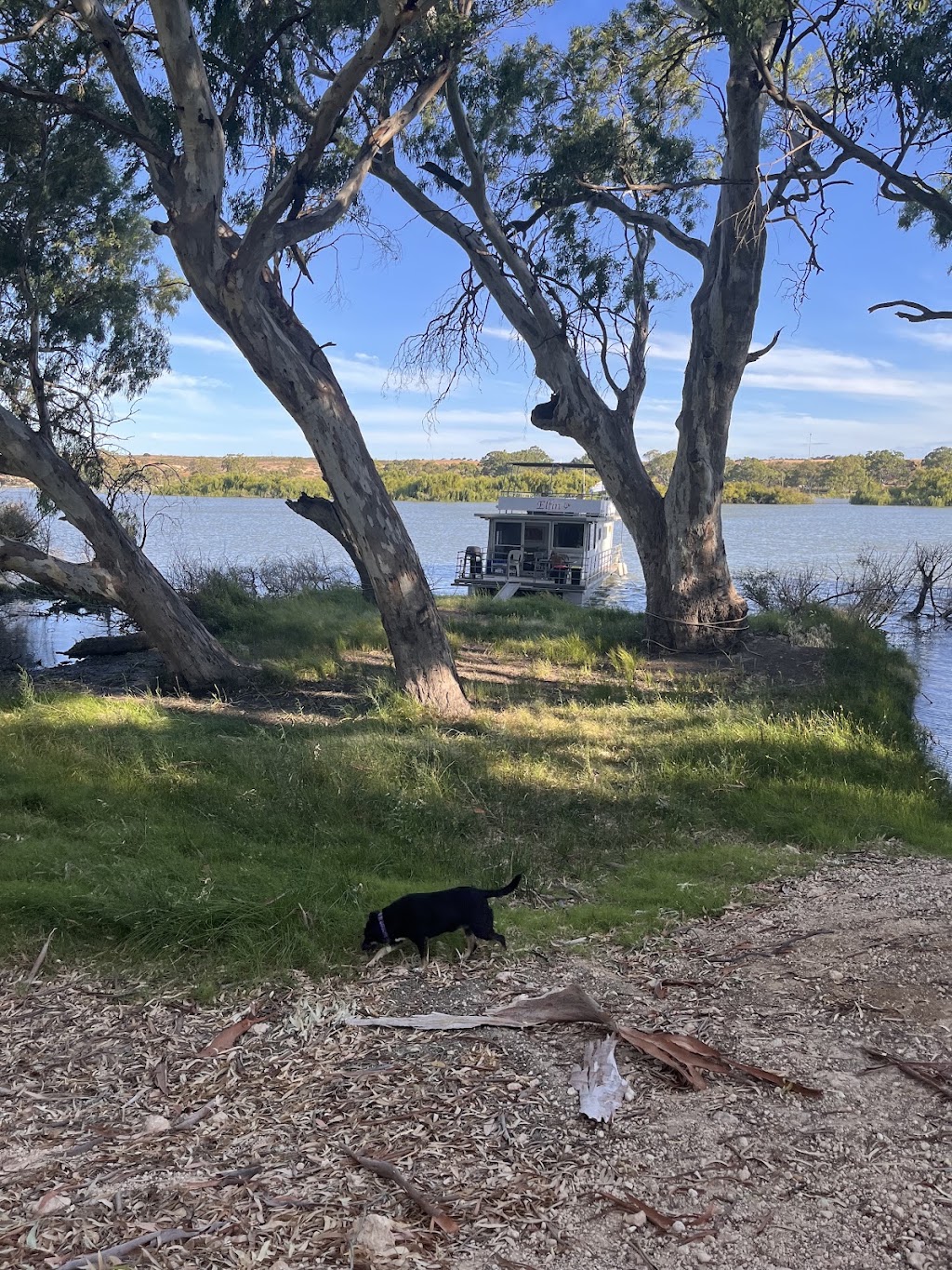 Elfin Houseboat | 100 Roper Rd, Murray Bridge SA 5253, Australia | Phone: 0417 812 529