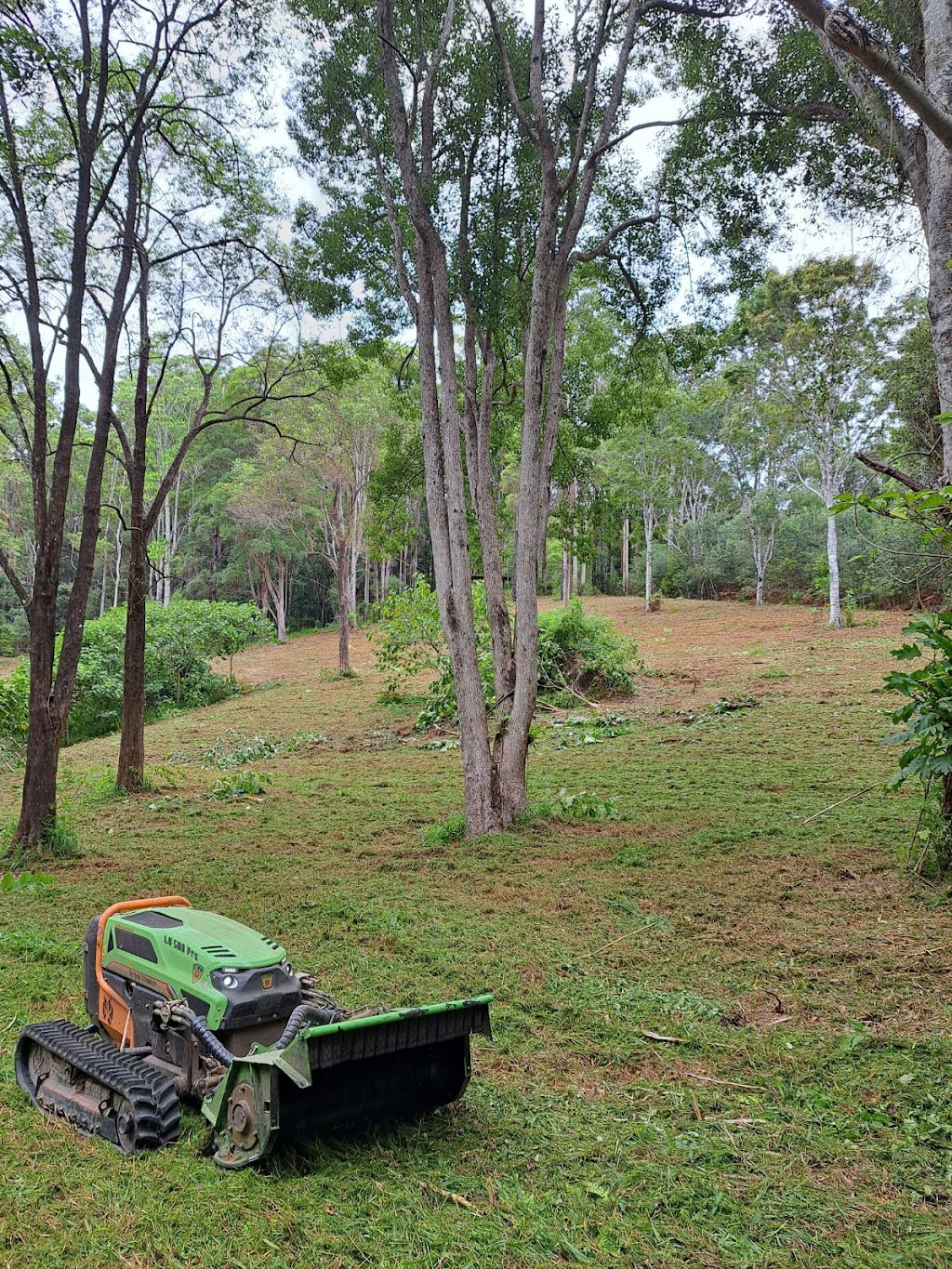 All Terrain Slashing | 145 Nancol Dr, Tallebudgera Valley QLD 4228, Australia | Phone: 0467 430 005
