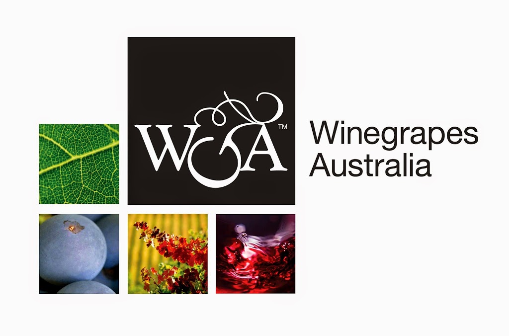 Winegrapes Australia | store | 725 Chapel Hill Rd, Blewitt Springs SA 5171, Australia | 0883230056 OR +61 8 8323 0056