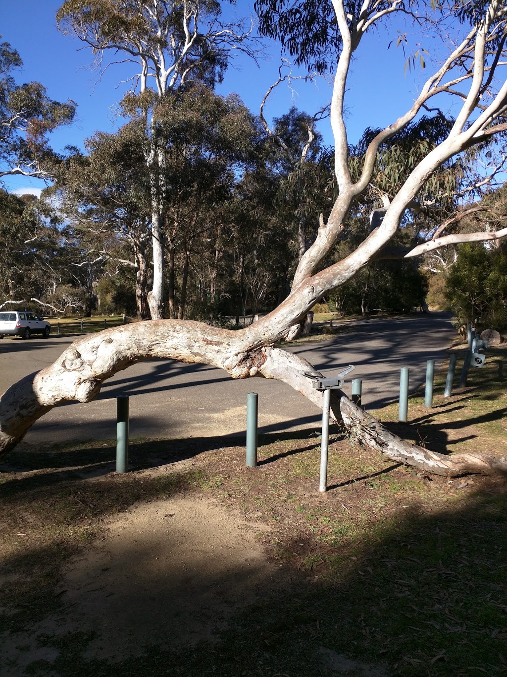 Minni Ha Ha Reserve Car Park | park | 98 Minni-Ha-Ha Rd, Katoomba NSW 2780, Australia
