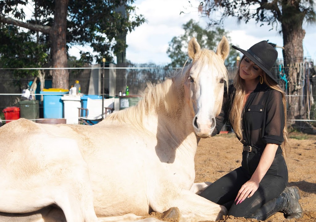 Empress Equine | 88 Kindra Ave, Karana Downs QLD 4306, Australia | Phone: 0423 275 615