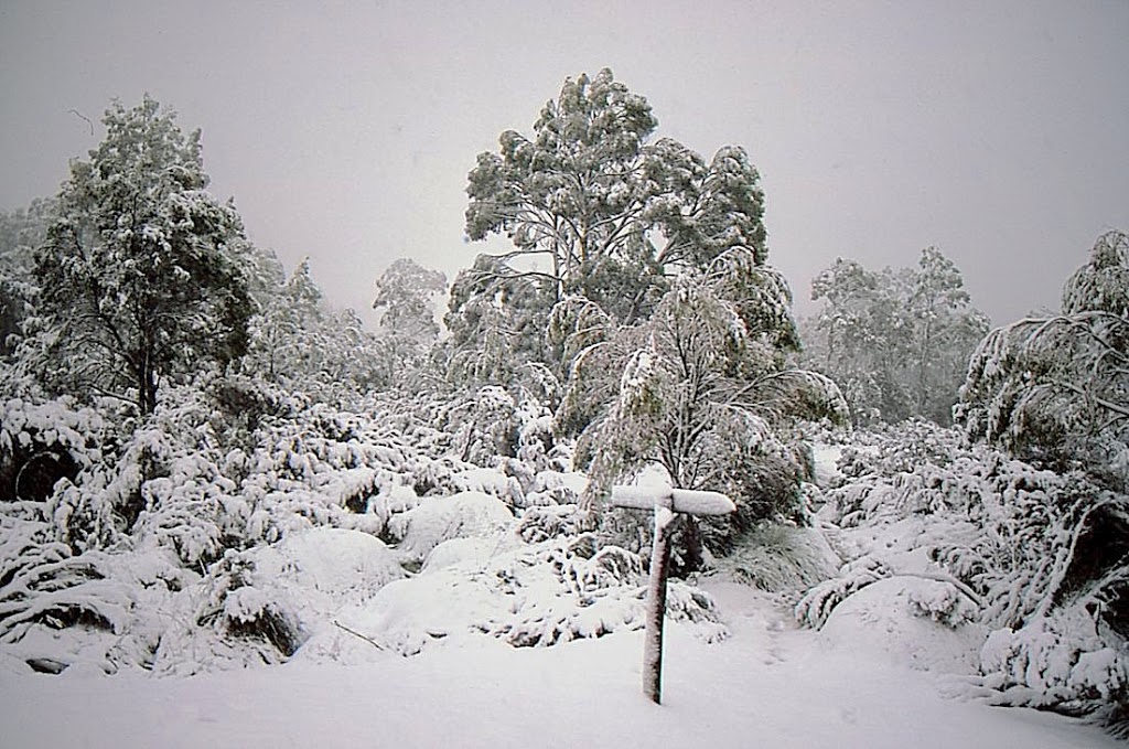 Kia Ora Hut | Lake St Clair TAS 7140, Australia