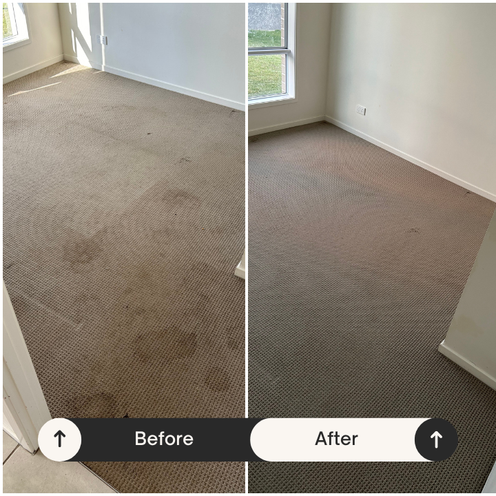 Warwick Carpet Shampoo | Schoch Rd, Warwick QLD 4370, Australia | Phone: 0423 114 629