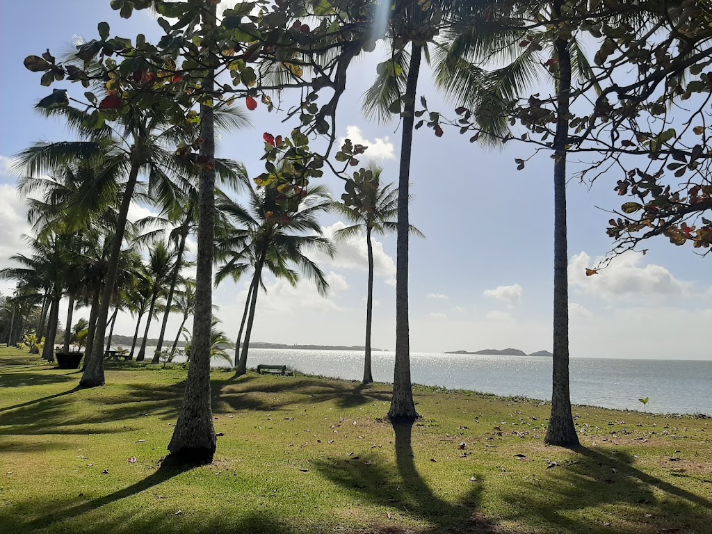 Seaforth Camping Reserve | 22 Palm Ave, Seaforth QLD 4741, Australia | Phone: 0427 373 358