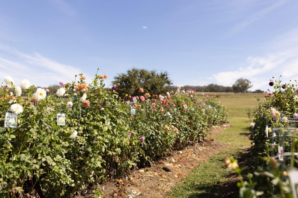 The Patch @ Spencer’s Gully | 714 Yetman Rd, Inverell NSW 2360, Australia | Phone: 0448 221 250