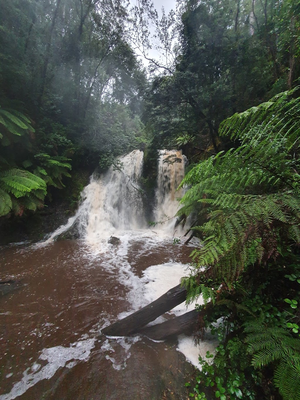 Hogarth Falls Car Park | Unnamed Road, Strahan TAS 7468, Australia | Phone: (03) 6472 6800