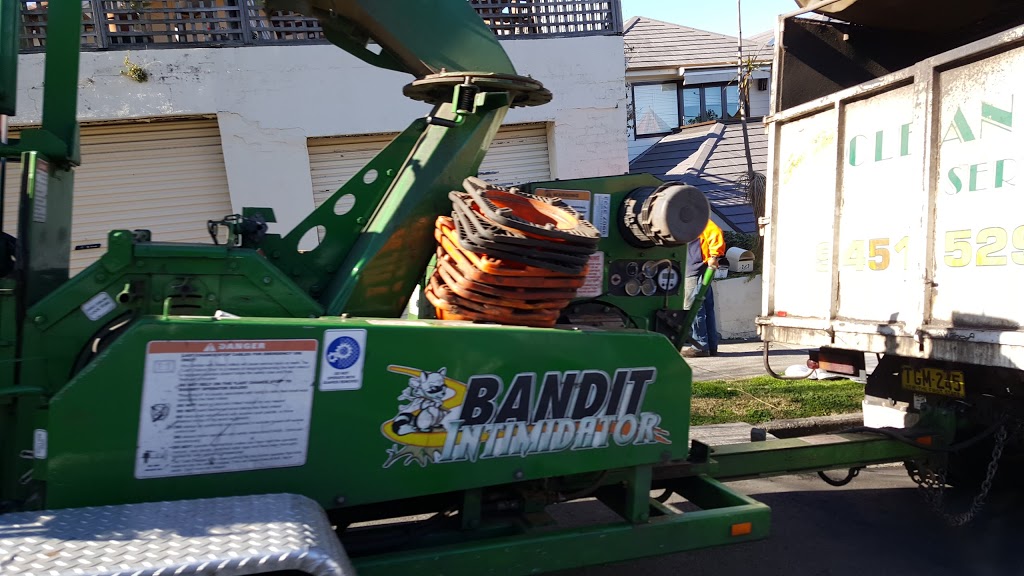 Cleancut Tree Service | 23 Windrush Ave, Belrose NSW 2085, Australia | Phone: (02) 9451 5292