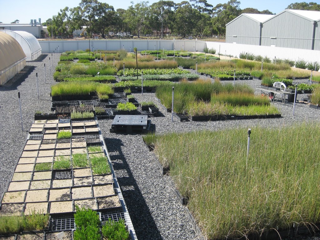 Edinburgh Parks Nursery (Wholesale only) | 66-68 West Ave, Edinburgh SA 5111, Australia | Phone: 0438 895 160