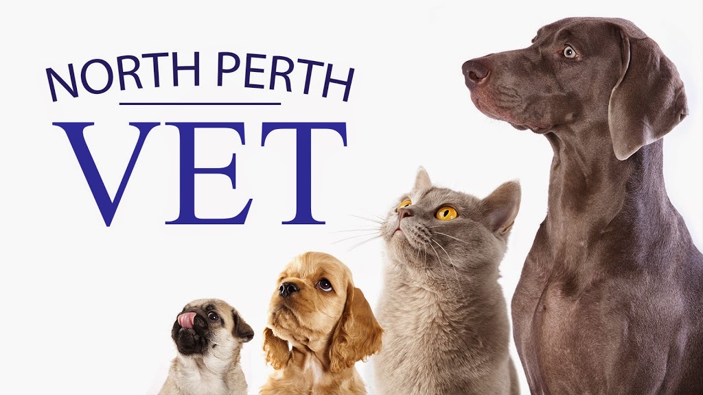 North Perth Vet Centre | 213 Walcott St, North Perth WA 6006, Australia | Phone: (08) 9227 7167
