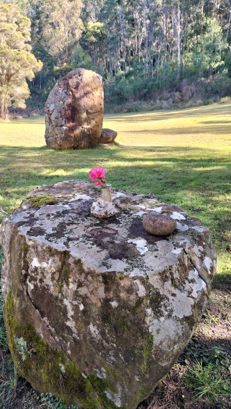 Garden of Eden Australia | Boree Valley Rd, Laguna NSW 2325, Australia | Phone: 0428 220 054