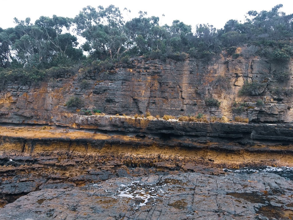 Pirates Bay Fishing & Charters | Blowhole Rd, Eaglehawk Neck TAS 7179, Australia | Phone: 0419 399 327