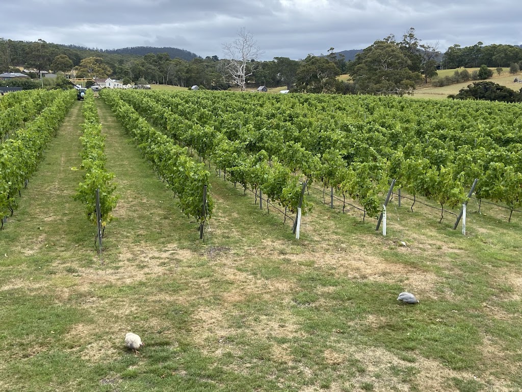 Cascades Bay Wines | 35 Shelly Beach Rd, Koonya TAS 7187, Australia | Phone: 0417 382 680