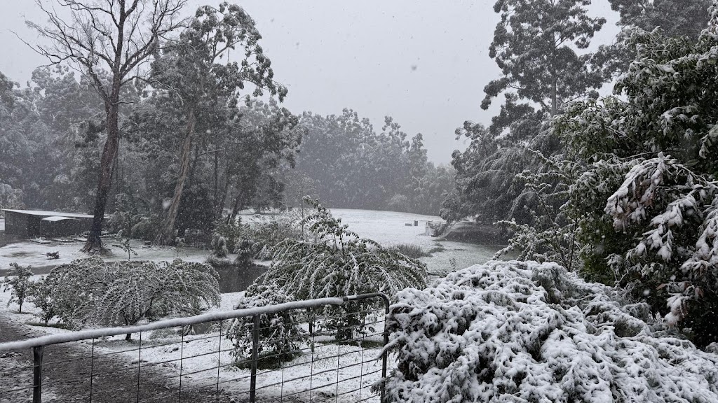 Steavenson River Estate | 1104 Buxton-Marysville Rd, Marysville VIC 3779, Australia | Phone: 0401 441 820