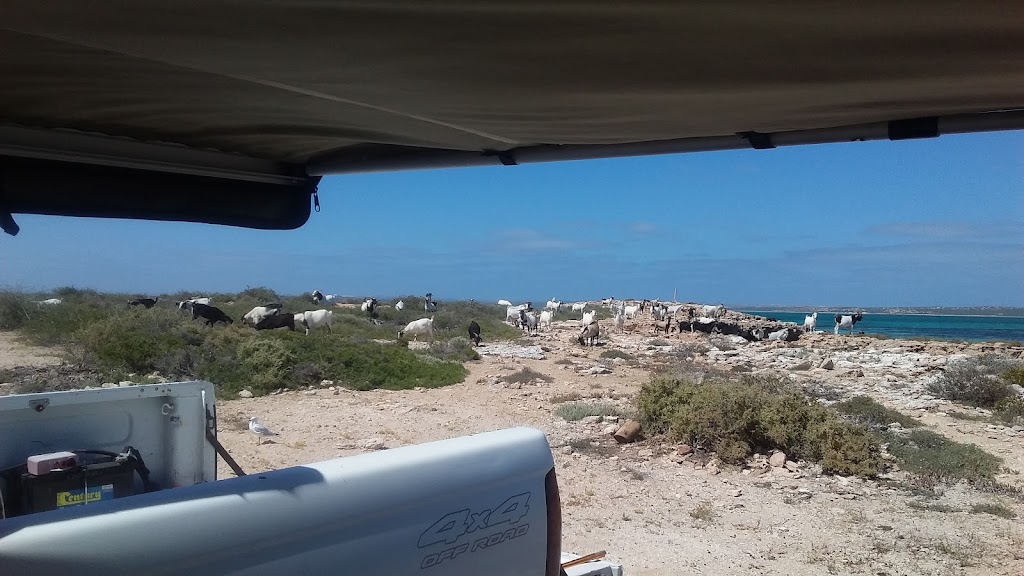 Tamala Station | Tamala Road, Shark Bay WA 6537, Australia | Phone: (08) 9948 3994
