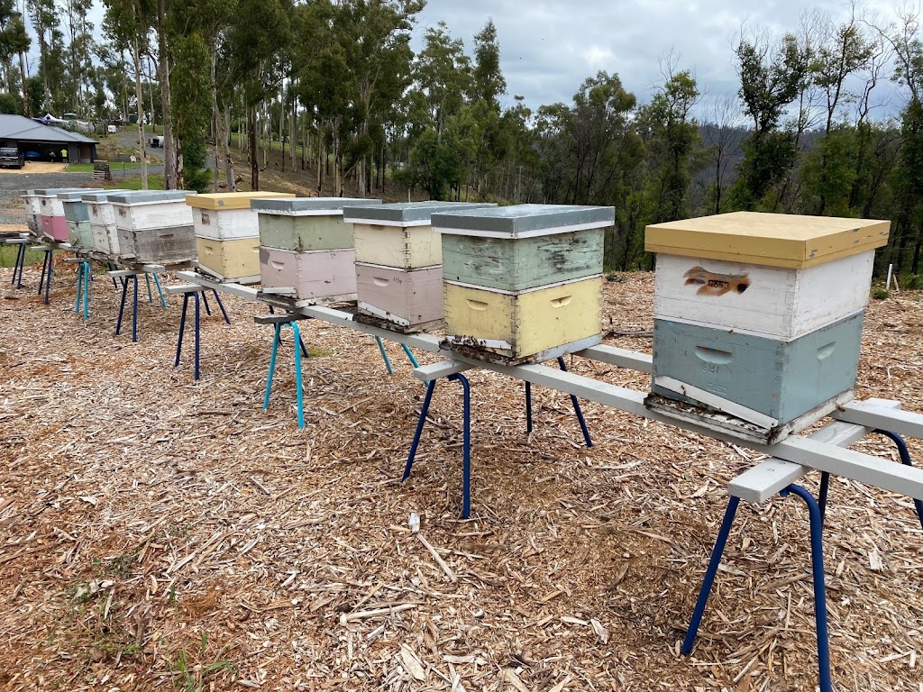 Bodalla Bees |  | 84 Waincourt Rd, Eurobodalla NSW 2545, Australia | 0405140681 OR +61 405 140 681
