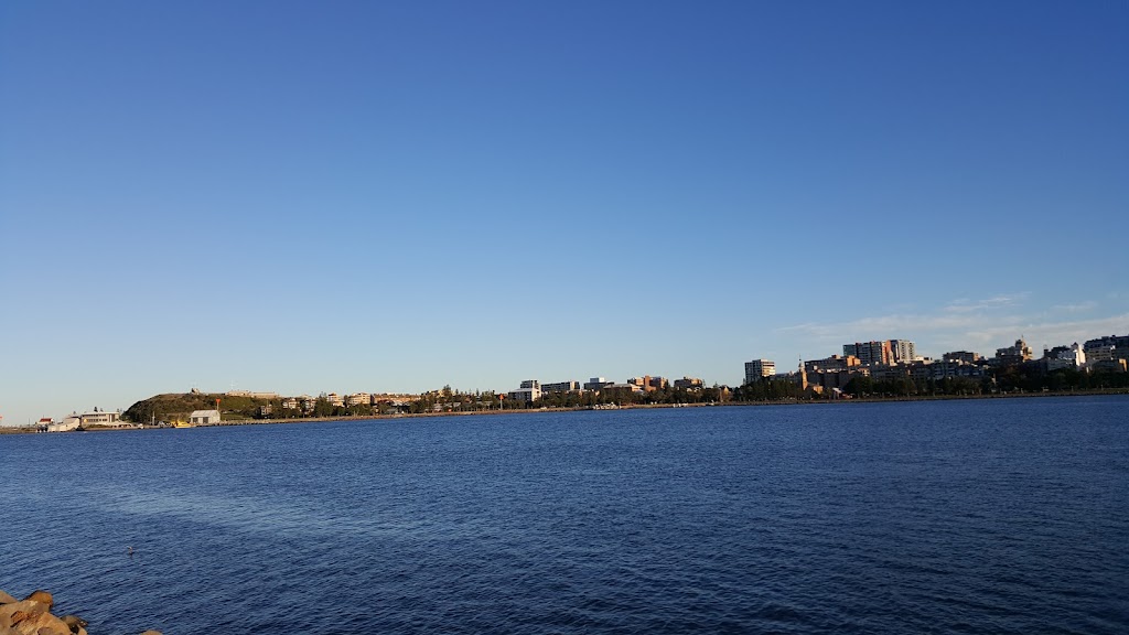 Pitt Street Reserve Playground | 10 Wharf Cres, Stockton NSW 2295, Australia | Phone: (02) 4974 2000