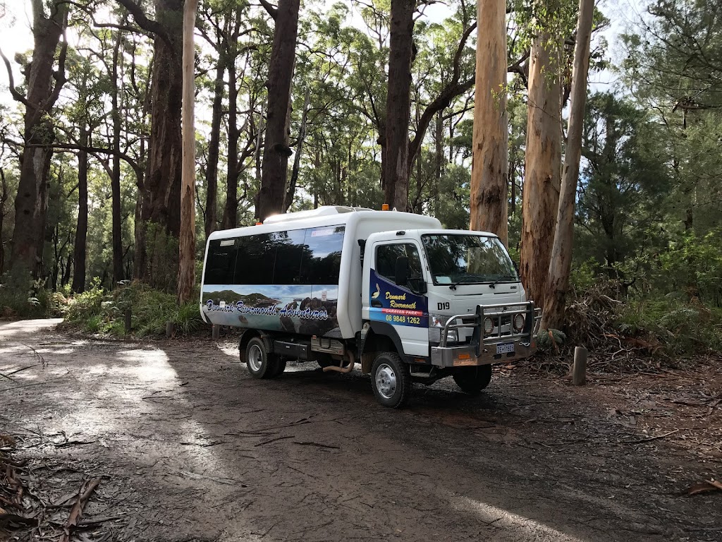 Denmark Rivermouth Paddle Boat and Kayak Hire | Denmark Rivermouth Caravan Park, Denmark WA 6333, Australia | Phone: (08) 9848 1262