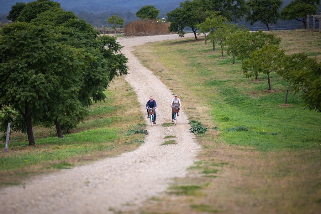DVine Festival Pokolbin | Hermitage Rd, Pokolbin NSW 2320, Australia | Phone: 0499 908 397
