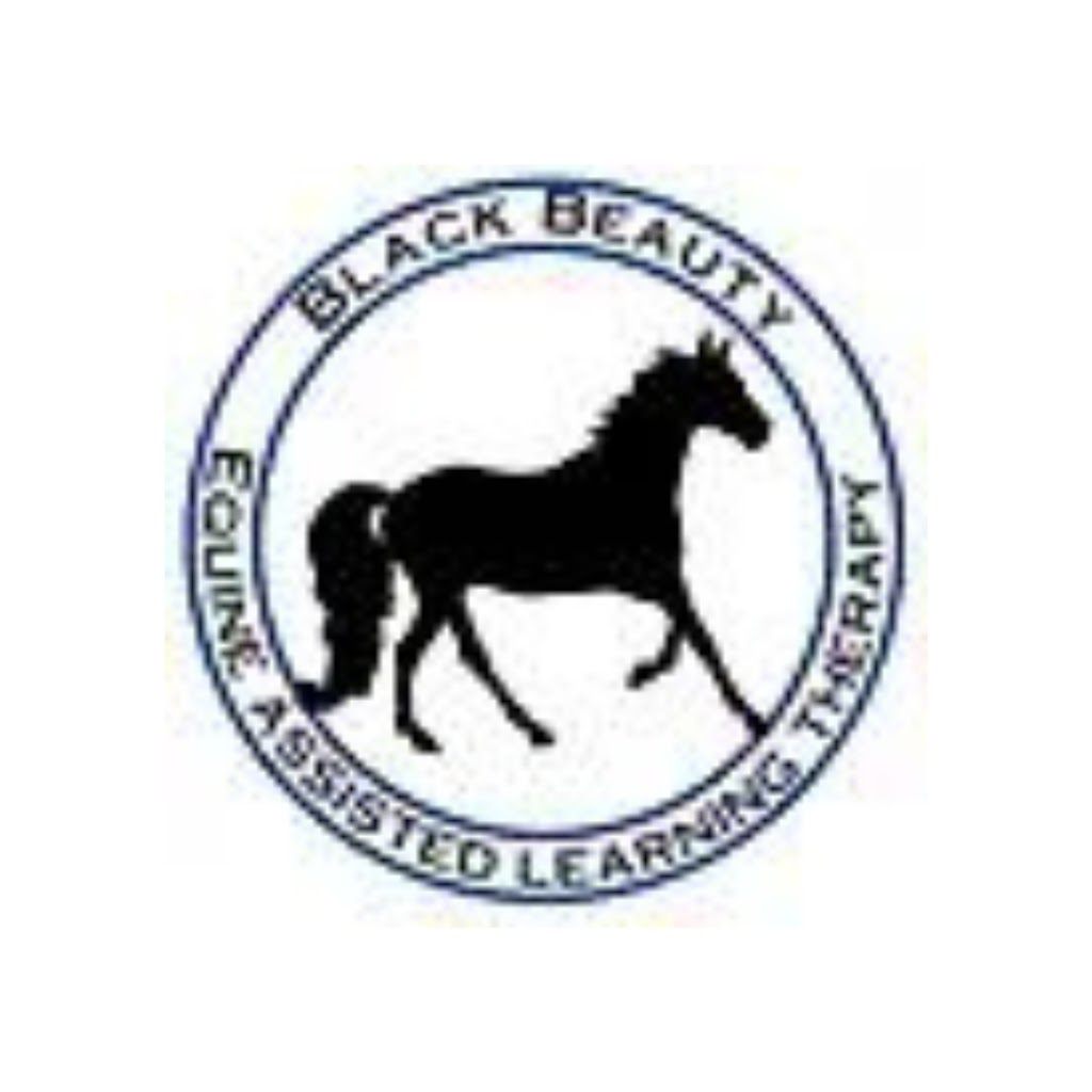 Black Beauty Equine Assisted Therapy | health | Whelan Rd, Bollier QLD 4570, Australia | 0418644039 OR +61 418 644 039