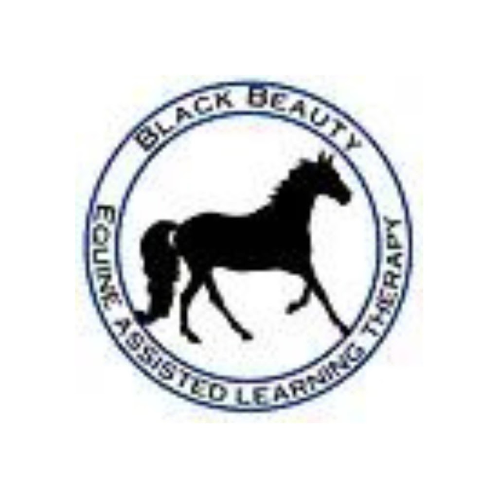 Black Beauty Equine Assisted Therapy | Whelan Rd, Bollier QLD 4570, Australia | Phone: 0418 644 039