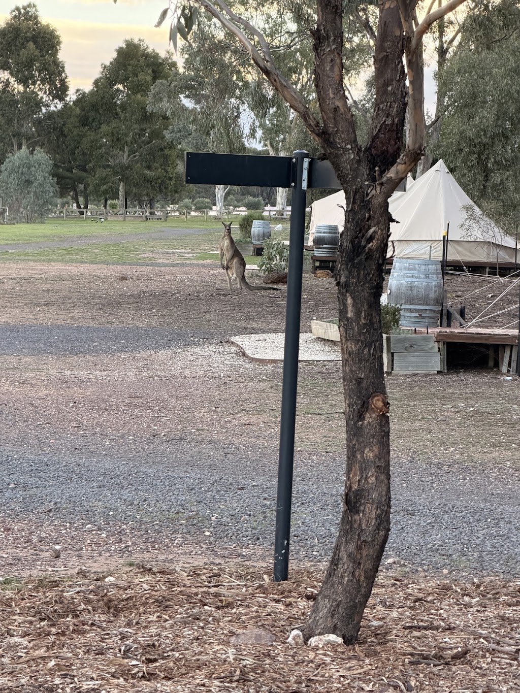 Solterra & Vine - Estate Accommodation | 46 Hermitage Rd, Maiden Gully VIC 3551, Australia | Phone: (03) 5292 3636