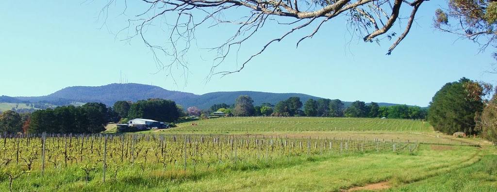 Canobolas Smith Winery | Boree Ln, Orange NSW 2800, Australia | Phone: 0447 839 026