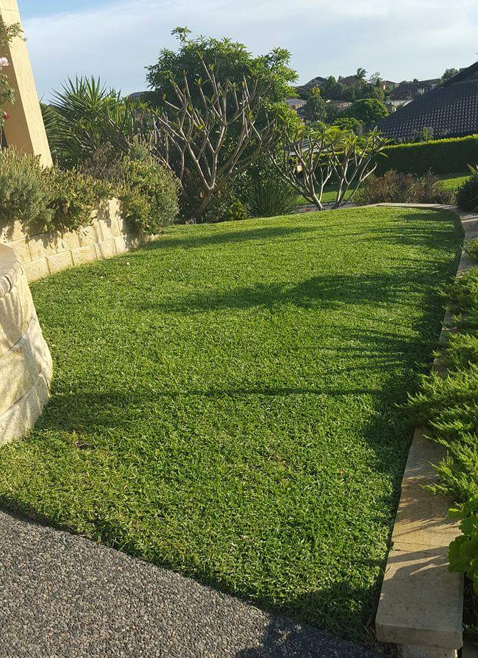 Hunter Lawn Maintenance Services | 2 Edstein Pl, Raymond Terrace NSW 2324, Australia | Phone: 0432 738 376