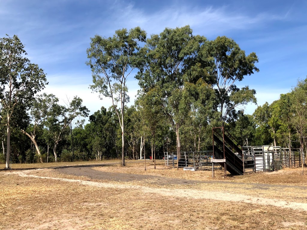 Weeks Cattle Co | 1992 Woodstock Giru Rd, Majors Creek QLD 4816, Australia | Phone: 0401 883 389