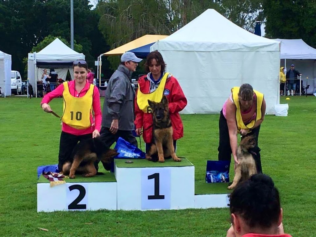 Kingvale German Shepherds | 431 Railway Parade, Balmoral NSW 2571, Australia | Phone: 0419 688 019