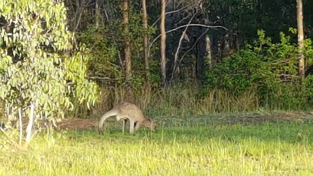 Skullies Mountain Nature Reserve | 74 Boyle Rd, Moogerah QLD 4309, Australia | Phone: 0407 001 590