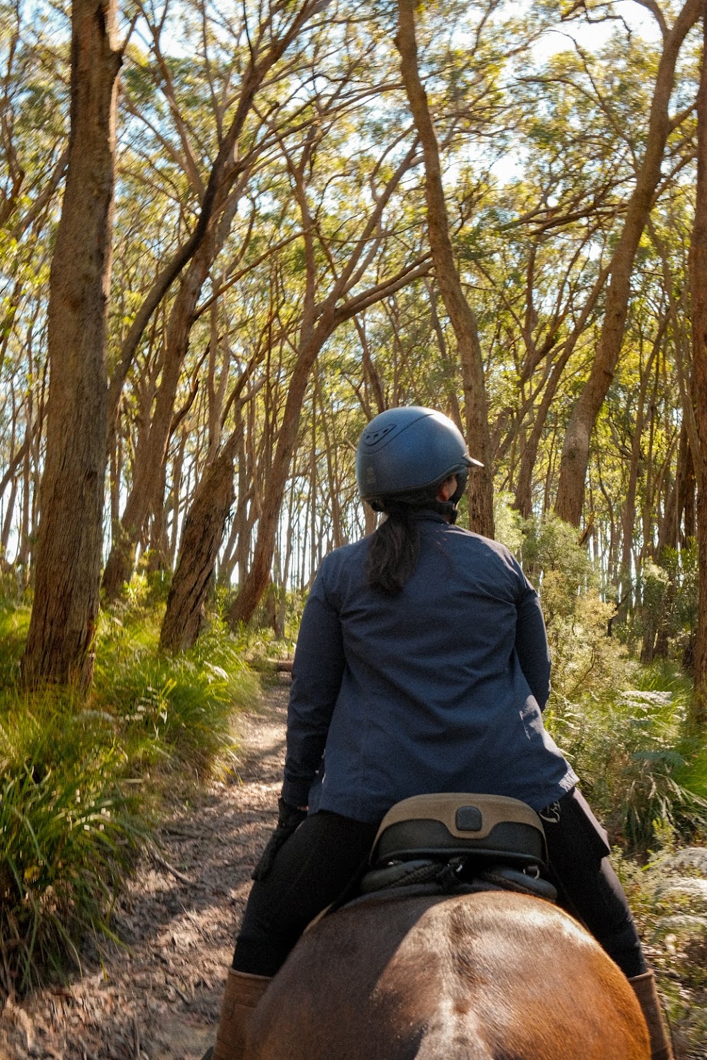 Highlands Equine Trail Adventures ( on your own horse) | 7007 Illawarra Hwy, Moss Vale NSW 2577, Australia | Phone: 0447 224 473