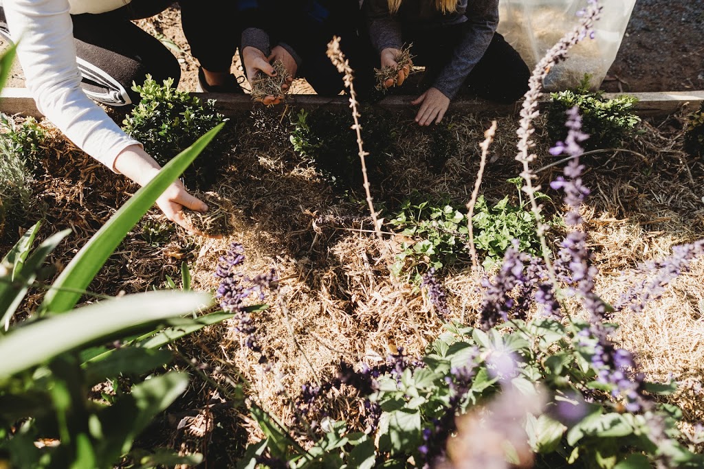 Rich River Garden Mulch | 2394 Odea Rd, Strathallan VIC 3622, Australia | Phone: 0428 505 308